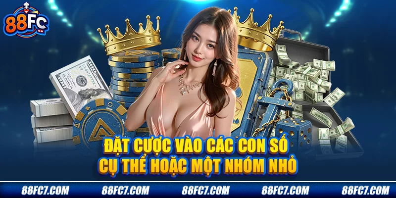 Đặt cược vào các con số cụ thể hoặc một nhóm nhỏ